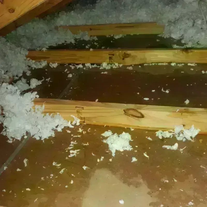 Attic Water Damage in Lone Oak, TN